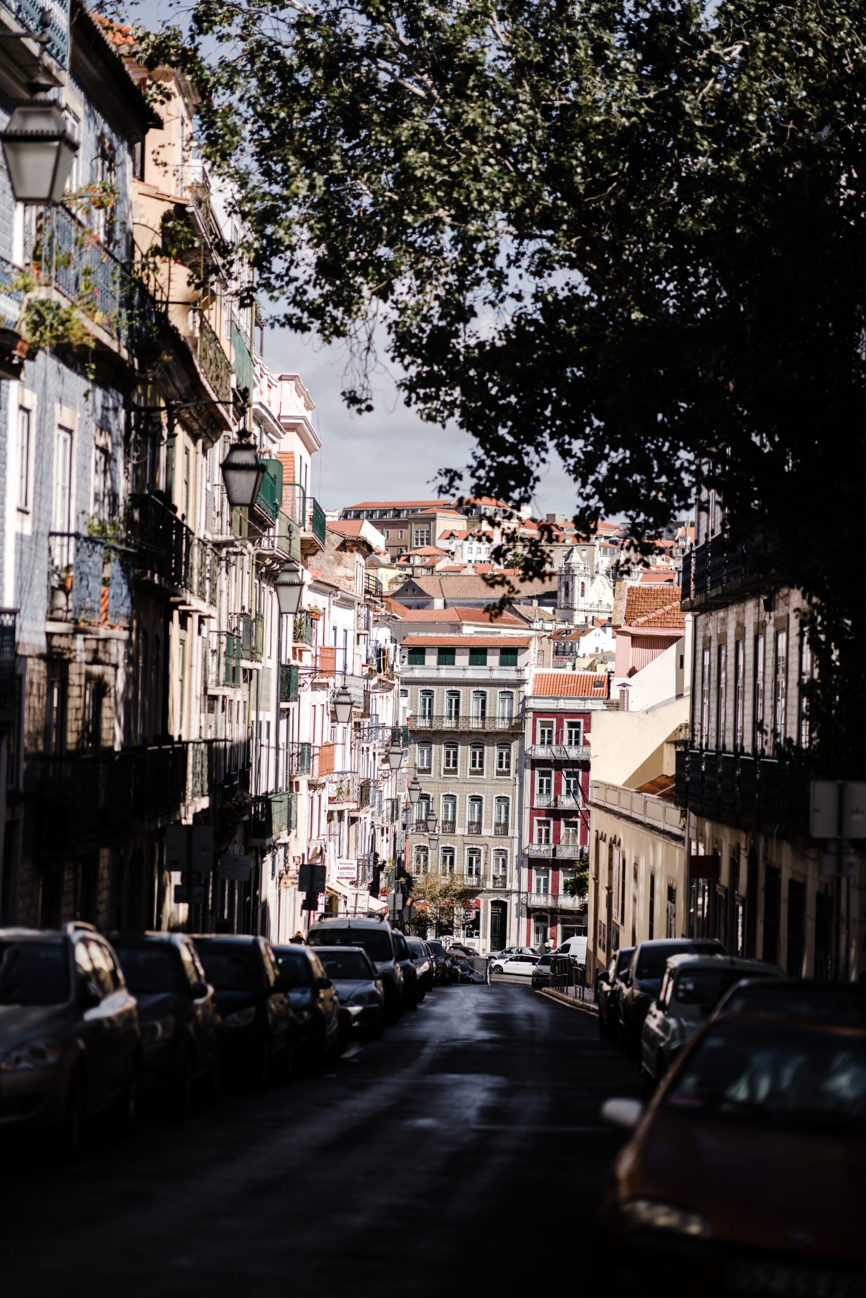 annie-spratt-tbVsiViRjsE-unsplash